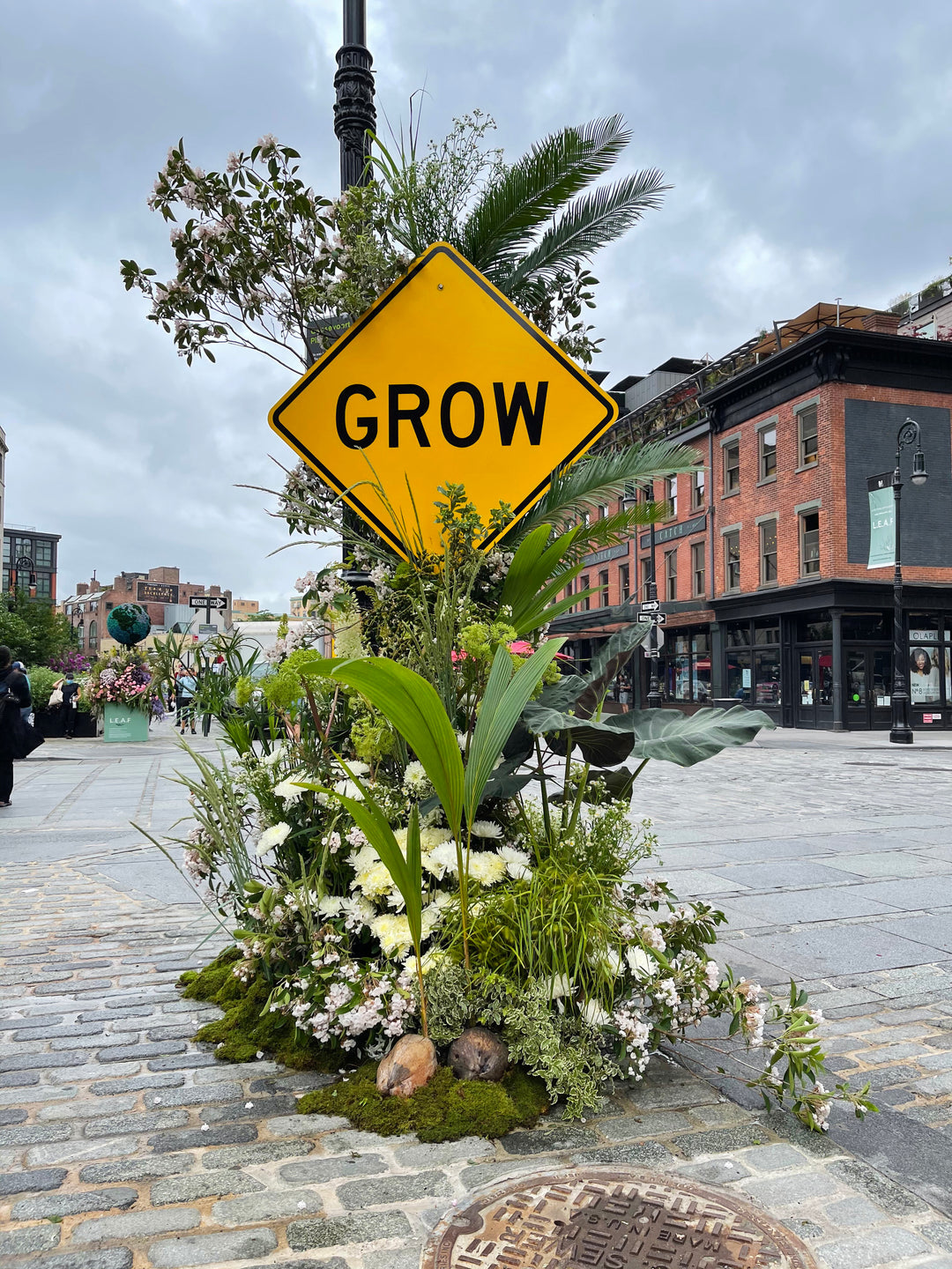 GROW Flower Flash Limited Edition Print